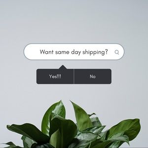 Order Now for Same Day Shipping!